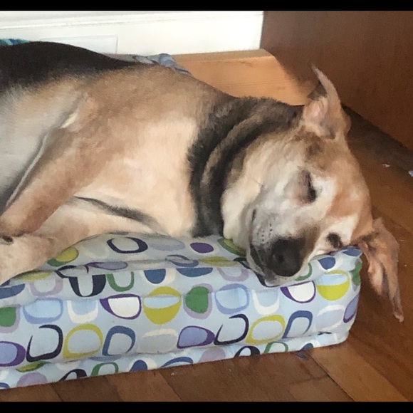 Meet the Posher! - Picture 3 of 3